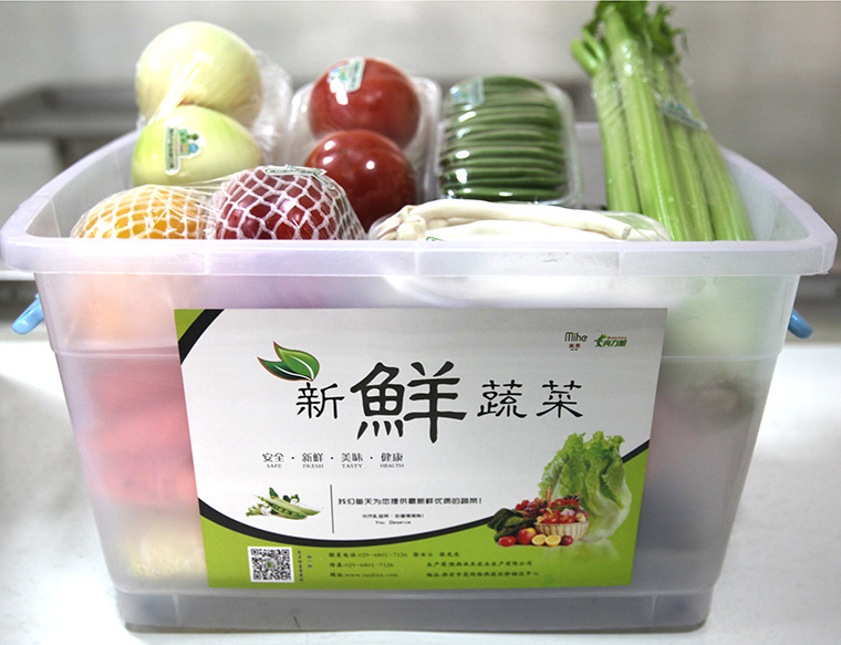 礼品蔬菜（整理箱）