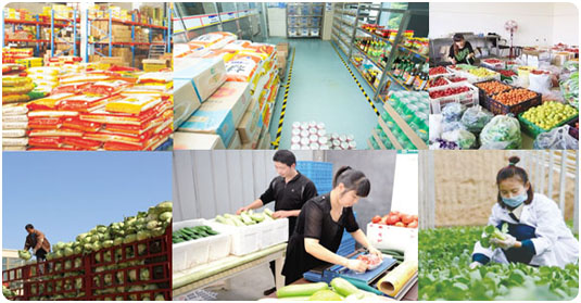 高效的食材配送才能提高企业员工用餐质量！