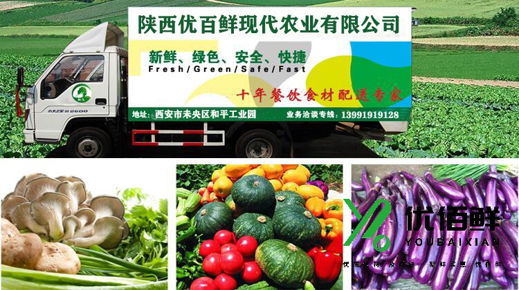 蔬菜配送方案 - 农副产品食材配送方案