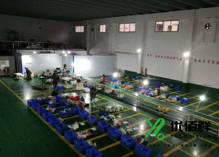 西安蔬菜配送中心分拣场地4.png