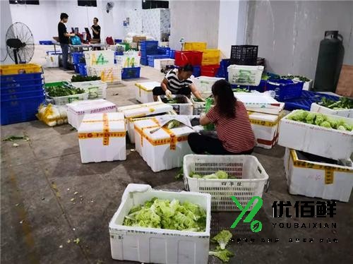 西安食材配送的痛点，解决方法是什么？