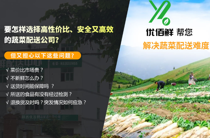 要怎样选择高性价比、安全又高效的蔬菜配送公司？